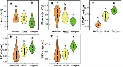 Trait-based community assembly and functional strategies across three subtropical karst forests, Southwestern China